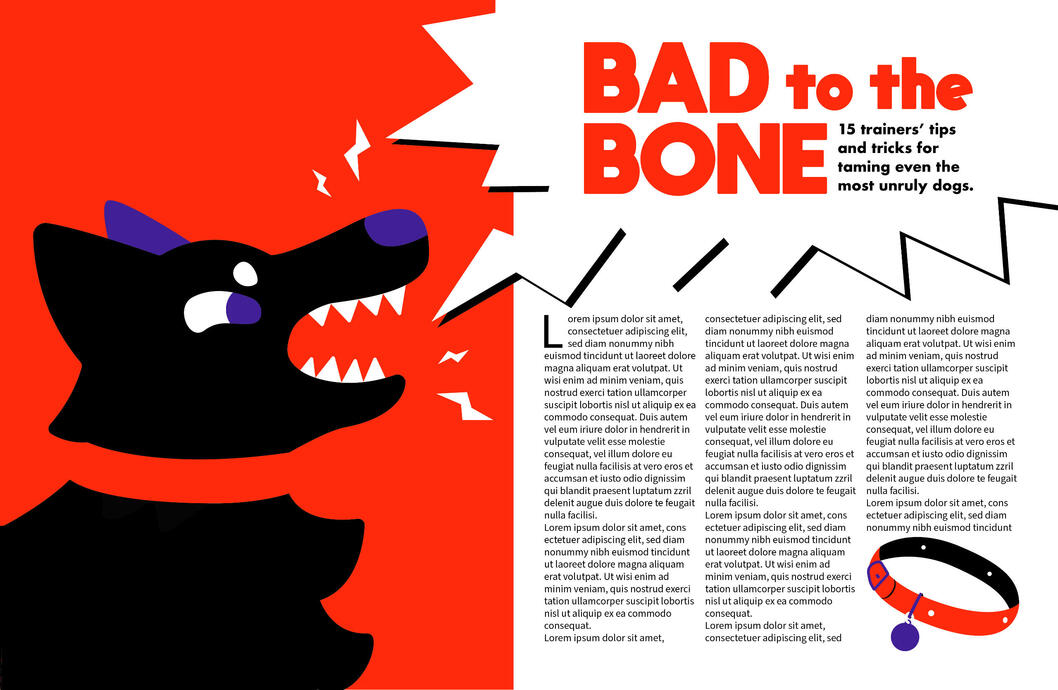 BAD to the BONE - assignment