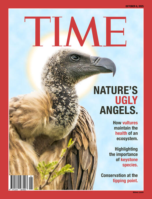 NATURE&#39;S UGLY ANGELS - assignment