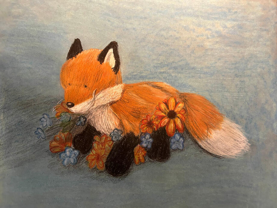 flora fox - 10x12; pastel and colored pencil on toned paper; assignment