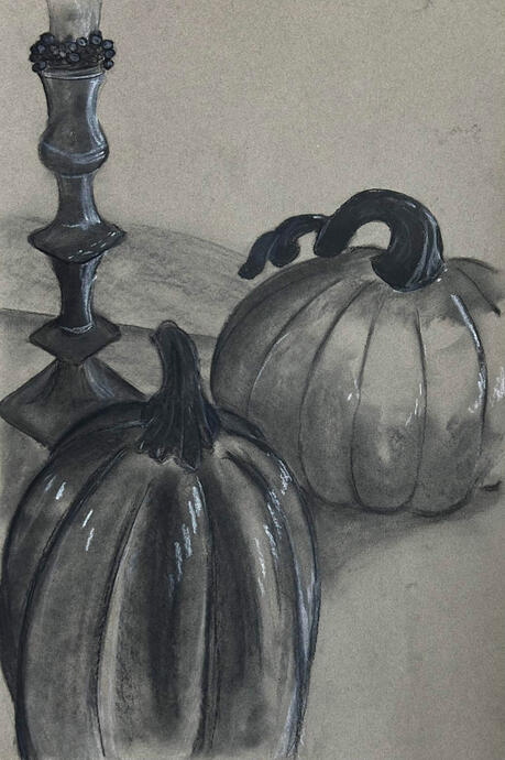 shiny - 18x12; charcoal and pastel on toned paper; assignment