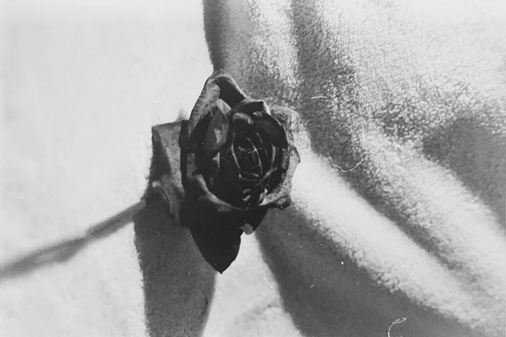 untitled - silver gelatin print; assignment